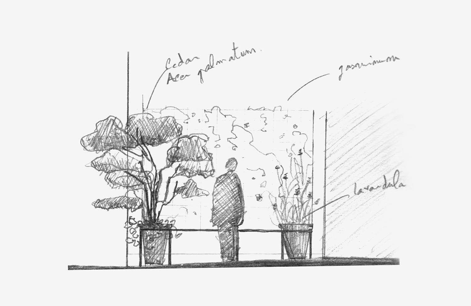 schéma sketch jardin saint germain france
