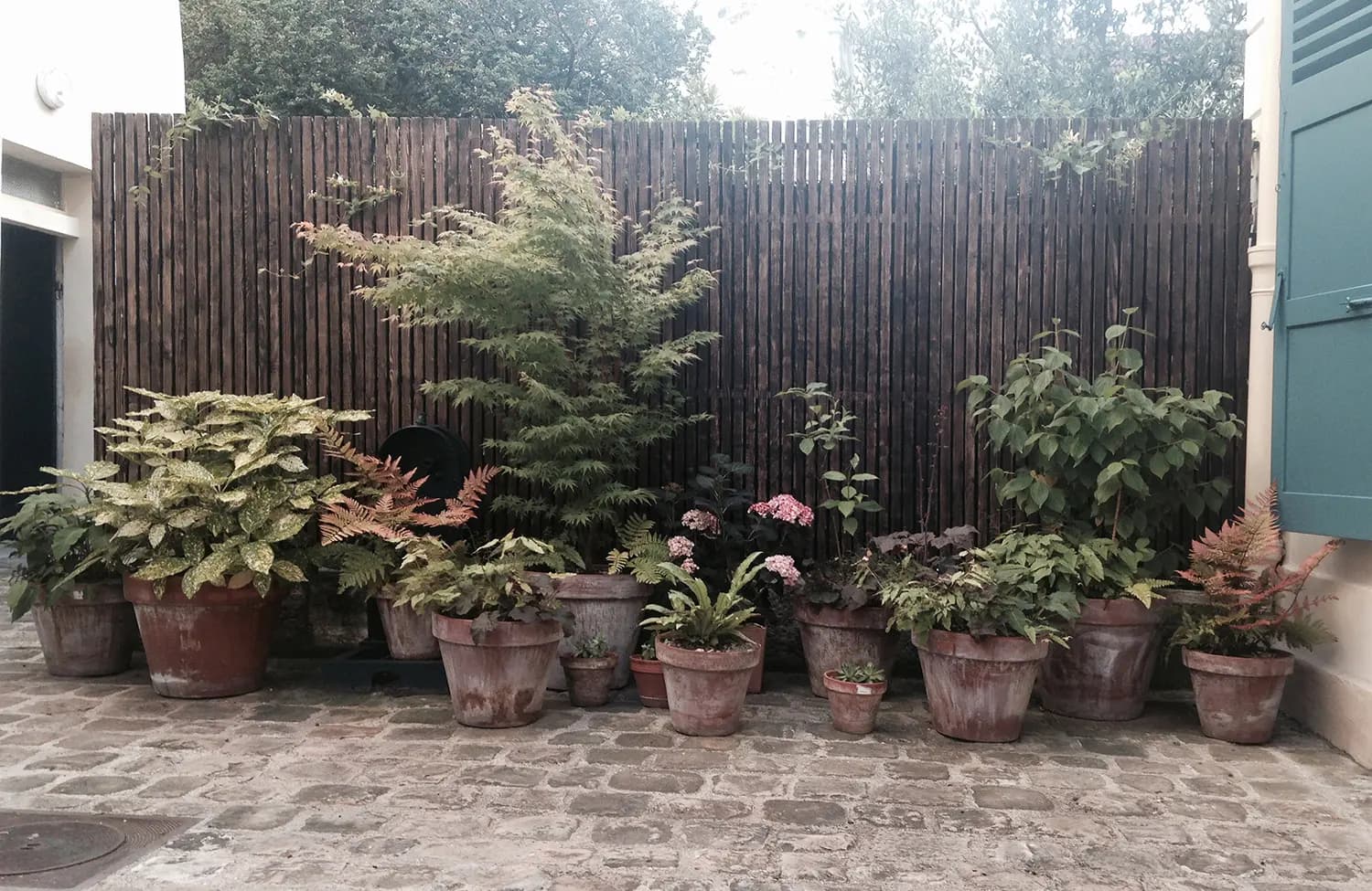 jardin sketch croquis