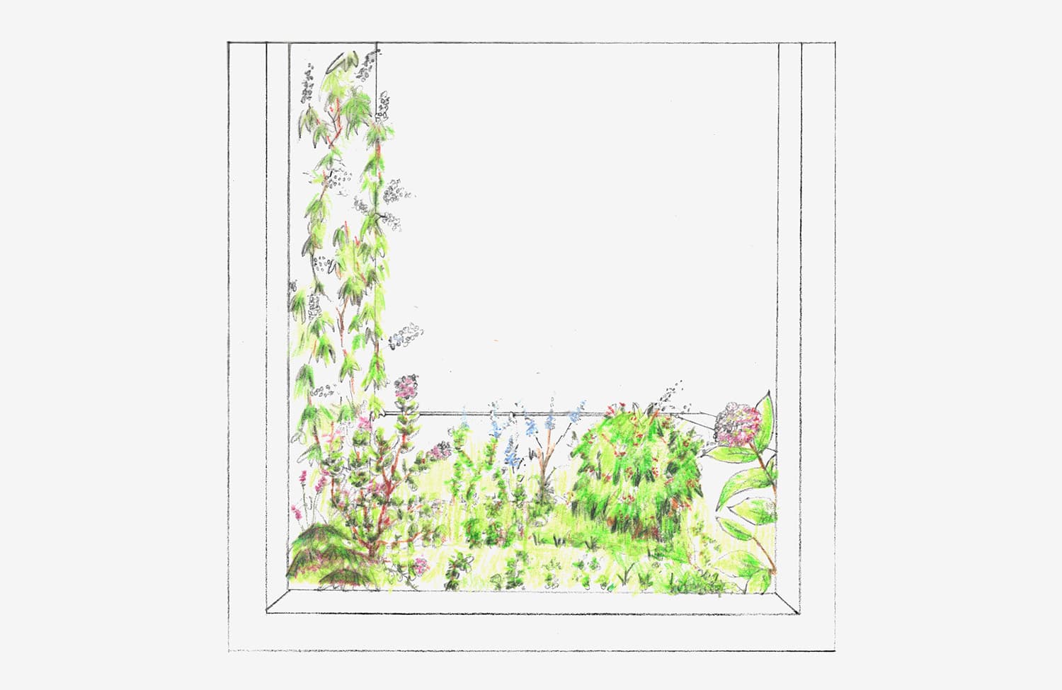 Schéma paris XVI haussman jardin