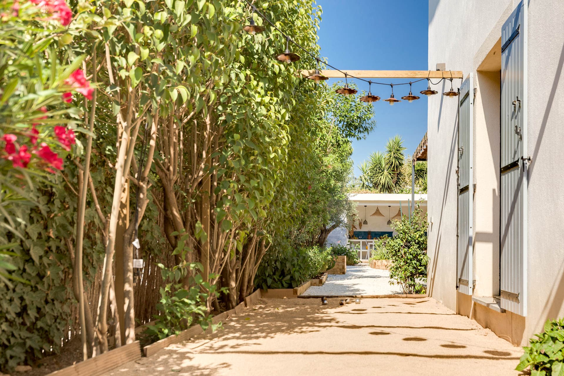 allée d'arbre vers le jardin